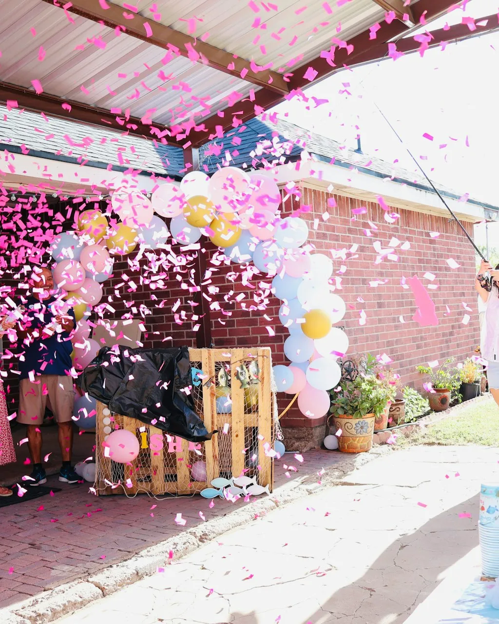 Gender reveal